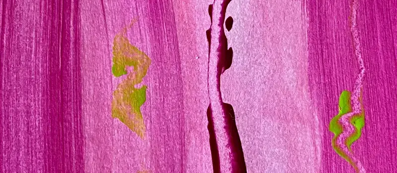 a hand painted purple background the author created to write her daily intention