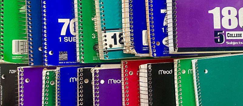 Artist's Way morning pages written in cheap spiral notebooks.